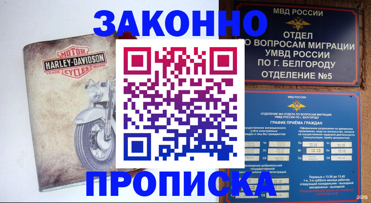 прописка для школы в Кунгуре